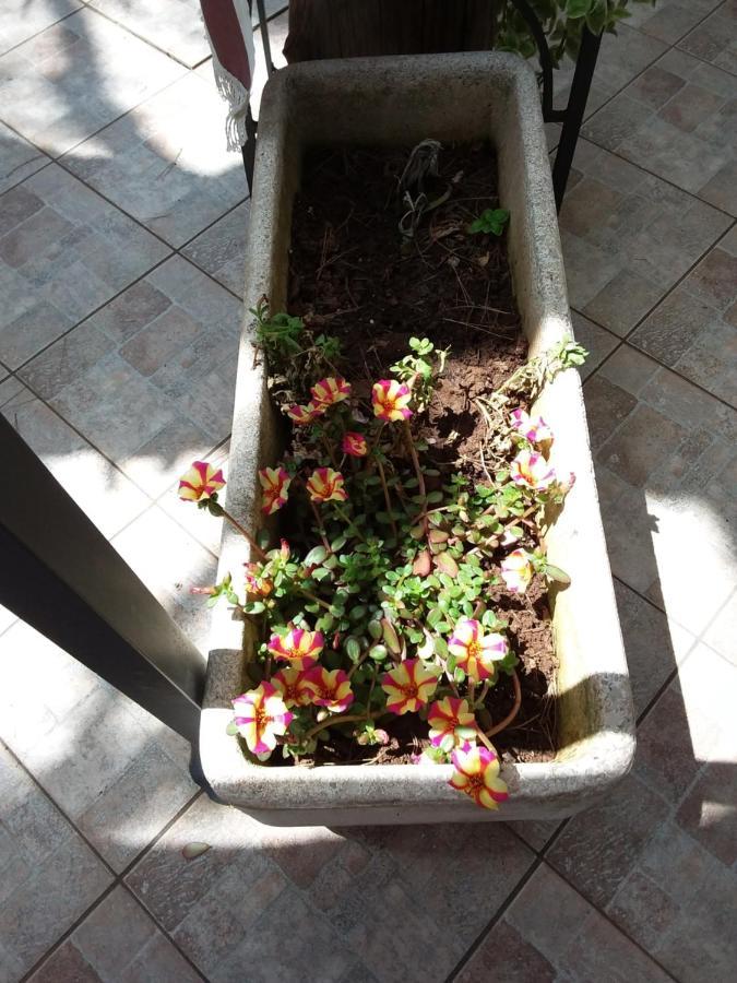 Villetta Il Pino Sant Isidoro  Zewnętrze zdjęcie